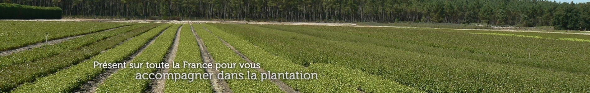 Présent sur toute la France pour vous accompagner dans la plantation