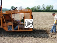 Découvrez la plantation de taillis en video