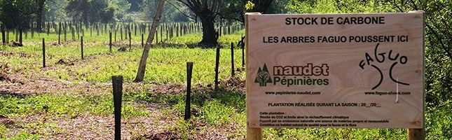 Plantation de compensation